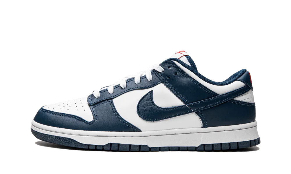 Dunk Low Valerian Blue