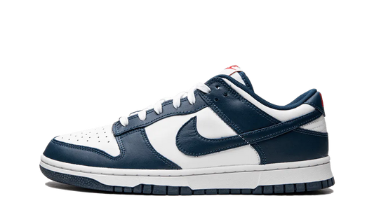 Dunk Low Valerian Blue