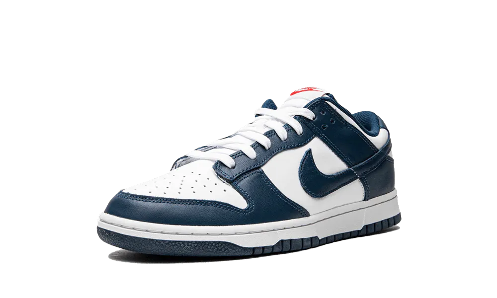 Dunk Low Valerian Blue